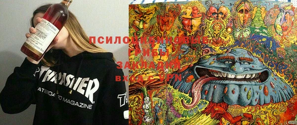 каннабис Коряжма